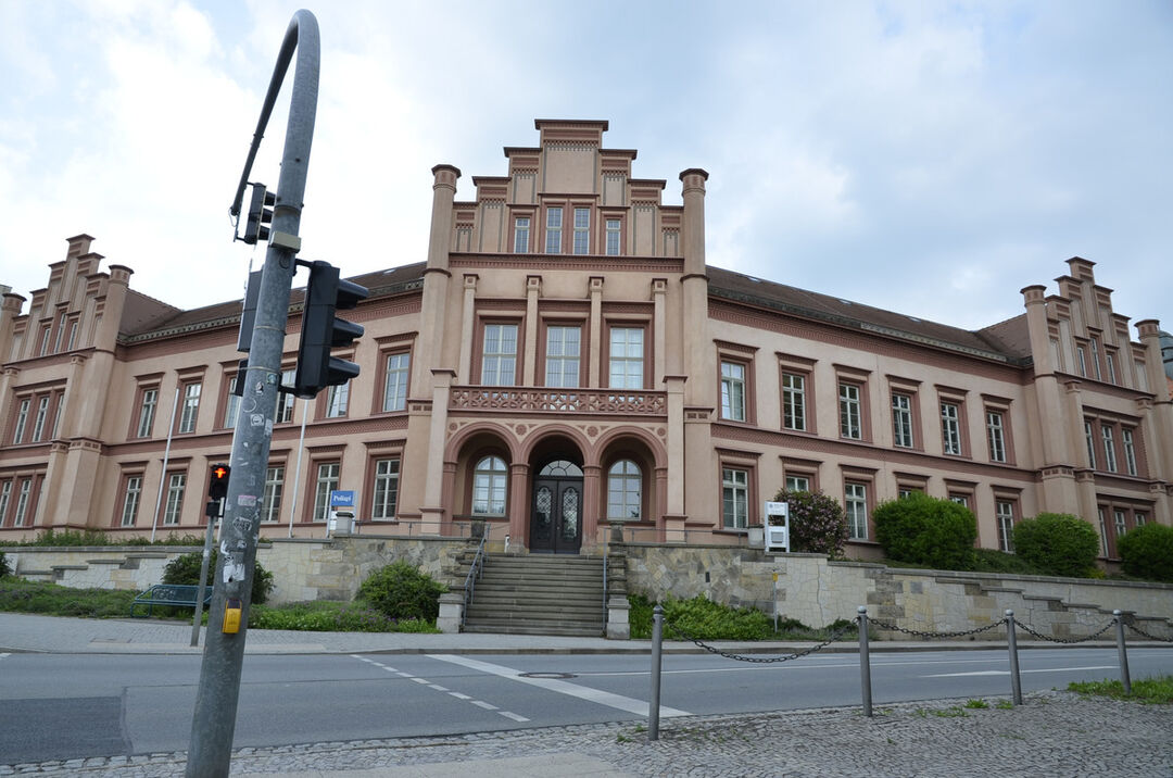 Schon wieder ein totes Pferd – Geht in Zittau ein Pferderipper um?